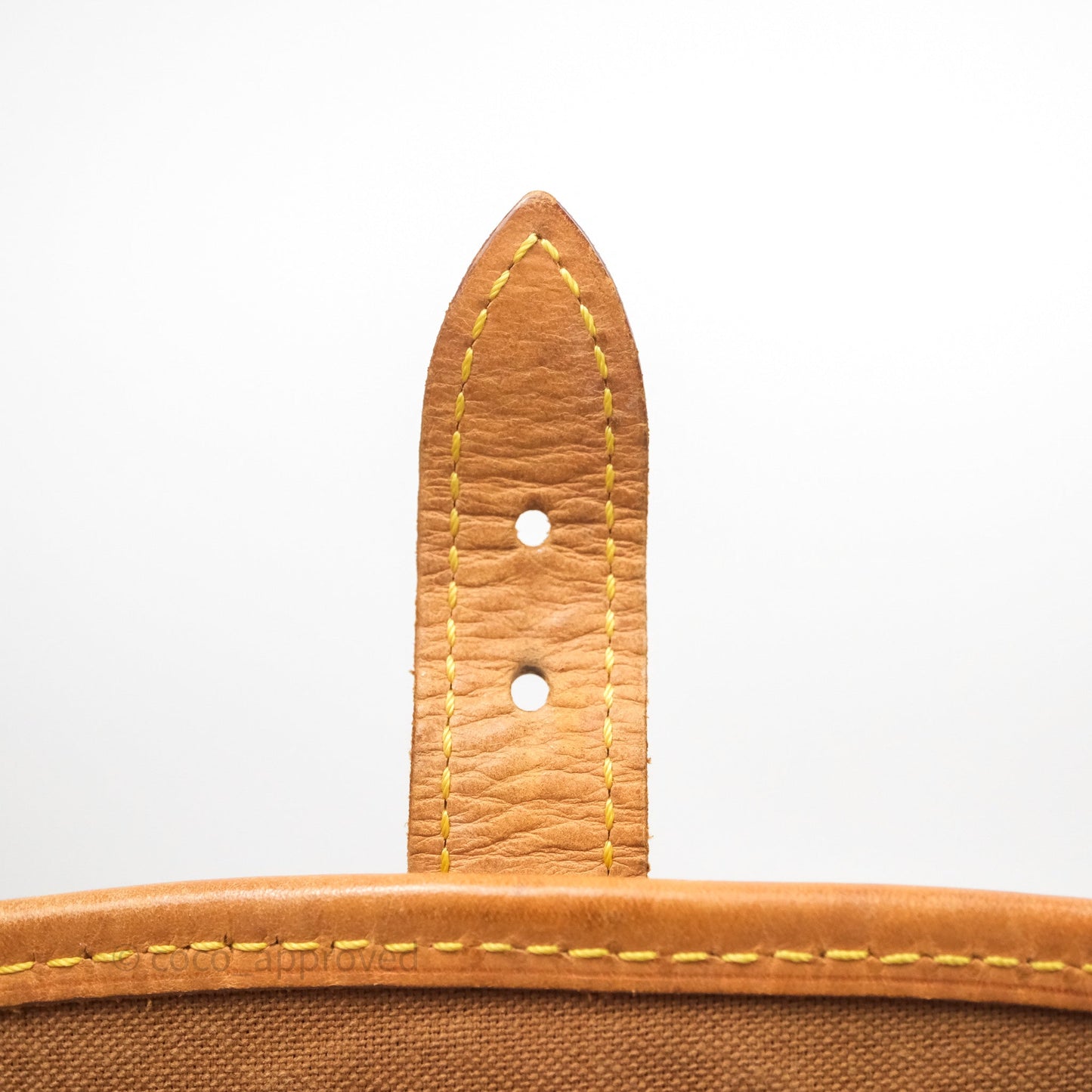 Louis Vuitton Vintage Diane Bag Monogram Canvas
