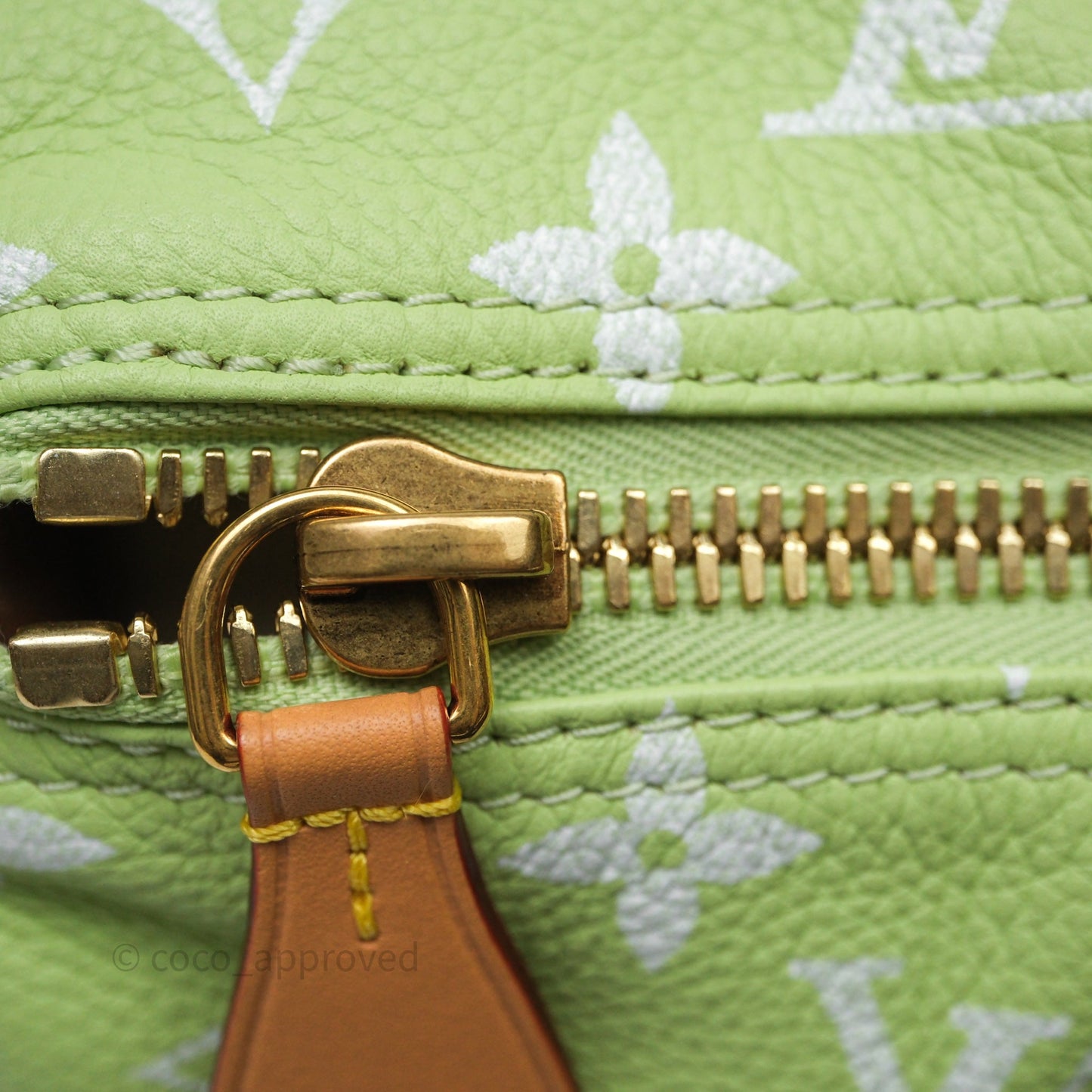 Louis Vuitton Speedy P9 Bandouliere 30 Vert Clair Bag