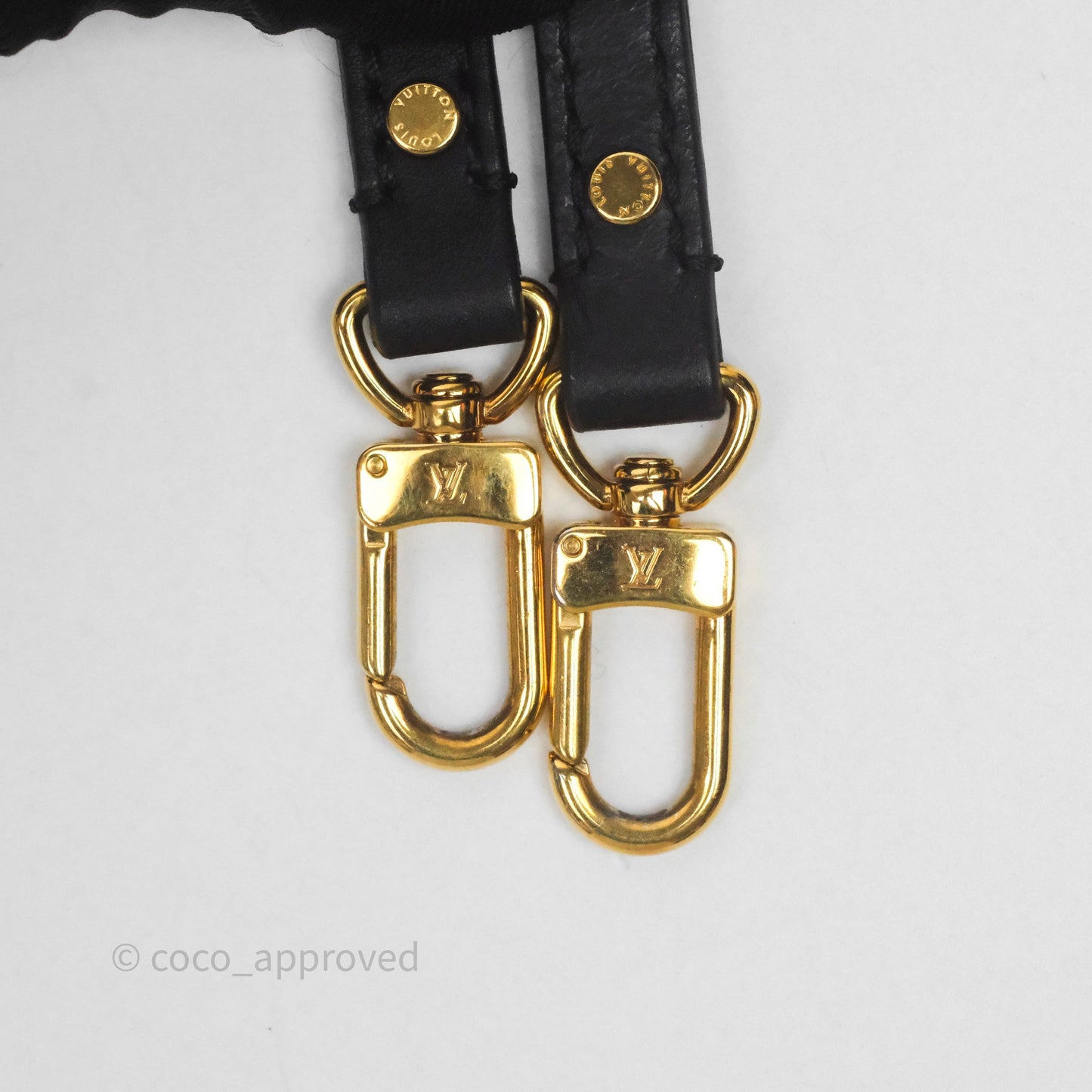 Louis Vuitton Mini Palm Springs Backpack⁣ Monogram