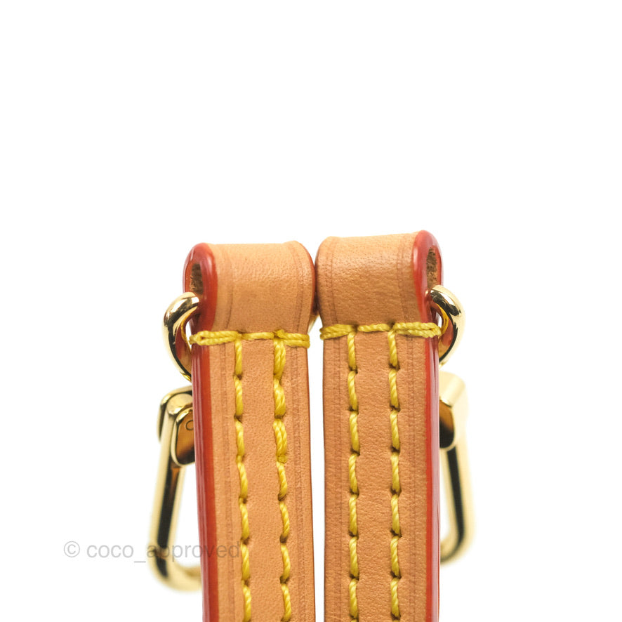 Louis Vuitton Petit Sac Plat Bag Denim Since 1854