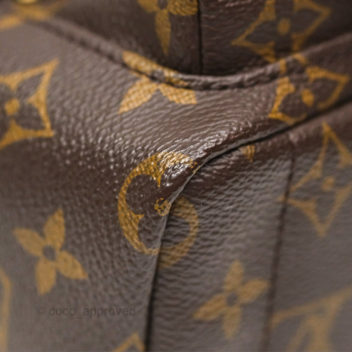 Louis Vuitton Mini Palm Springs Backpack⁣ Monogram