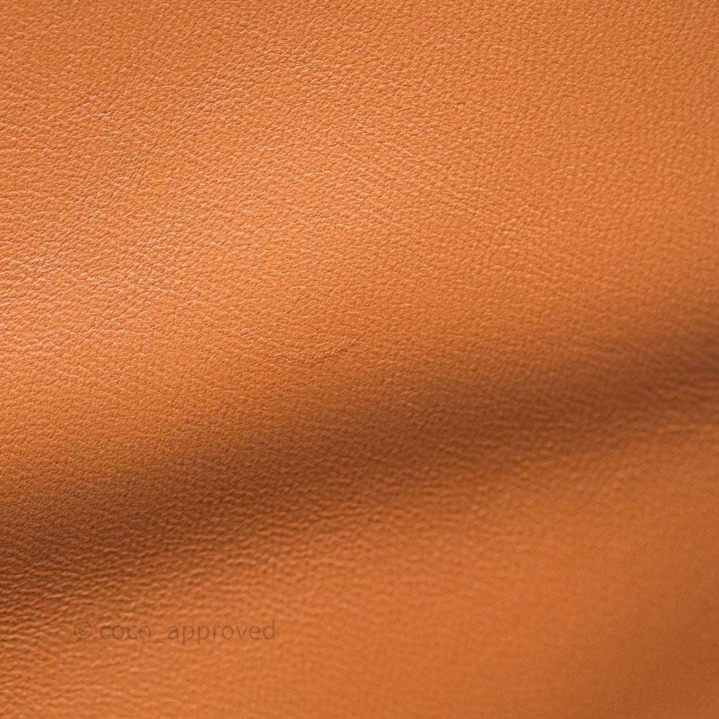Chanel 19 Small Caramel Dark Beige Brown Mixed Hardware