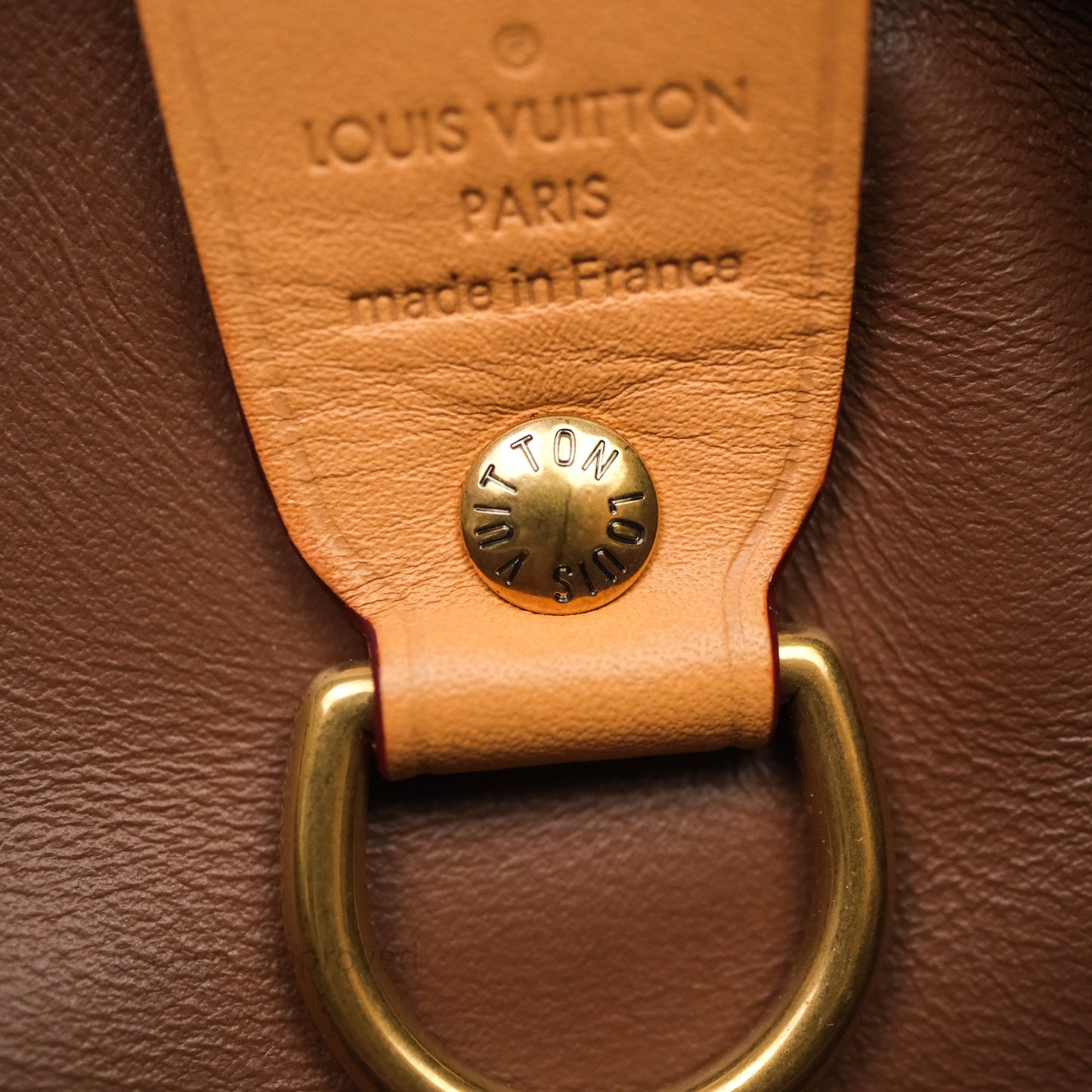 Louis Vuitton Speedy P9 Bandouliere 30 Vert Clair Bag