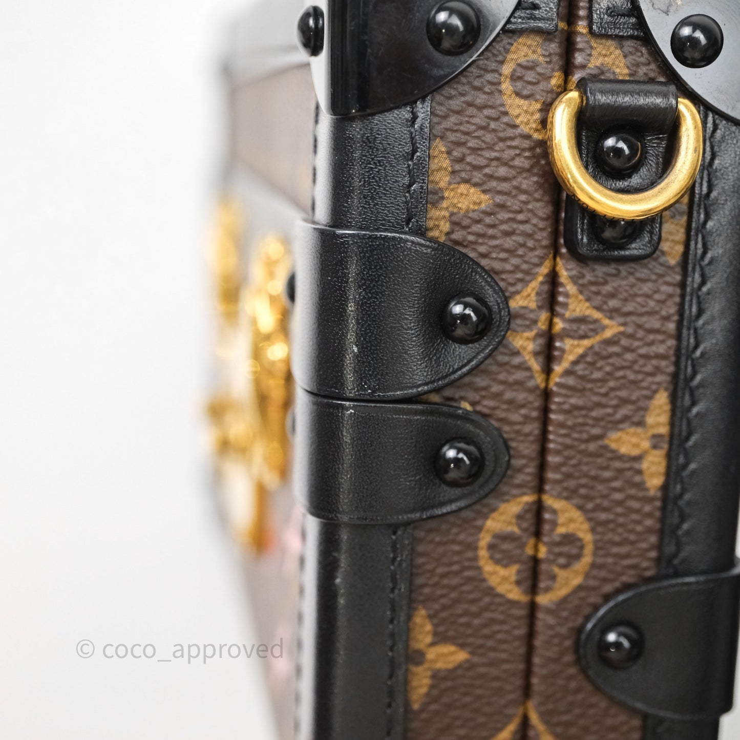 Louis Vuitton Monogram Petite Malle