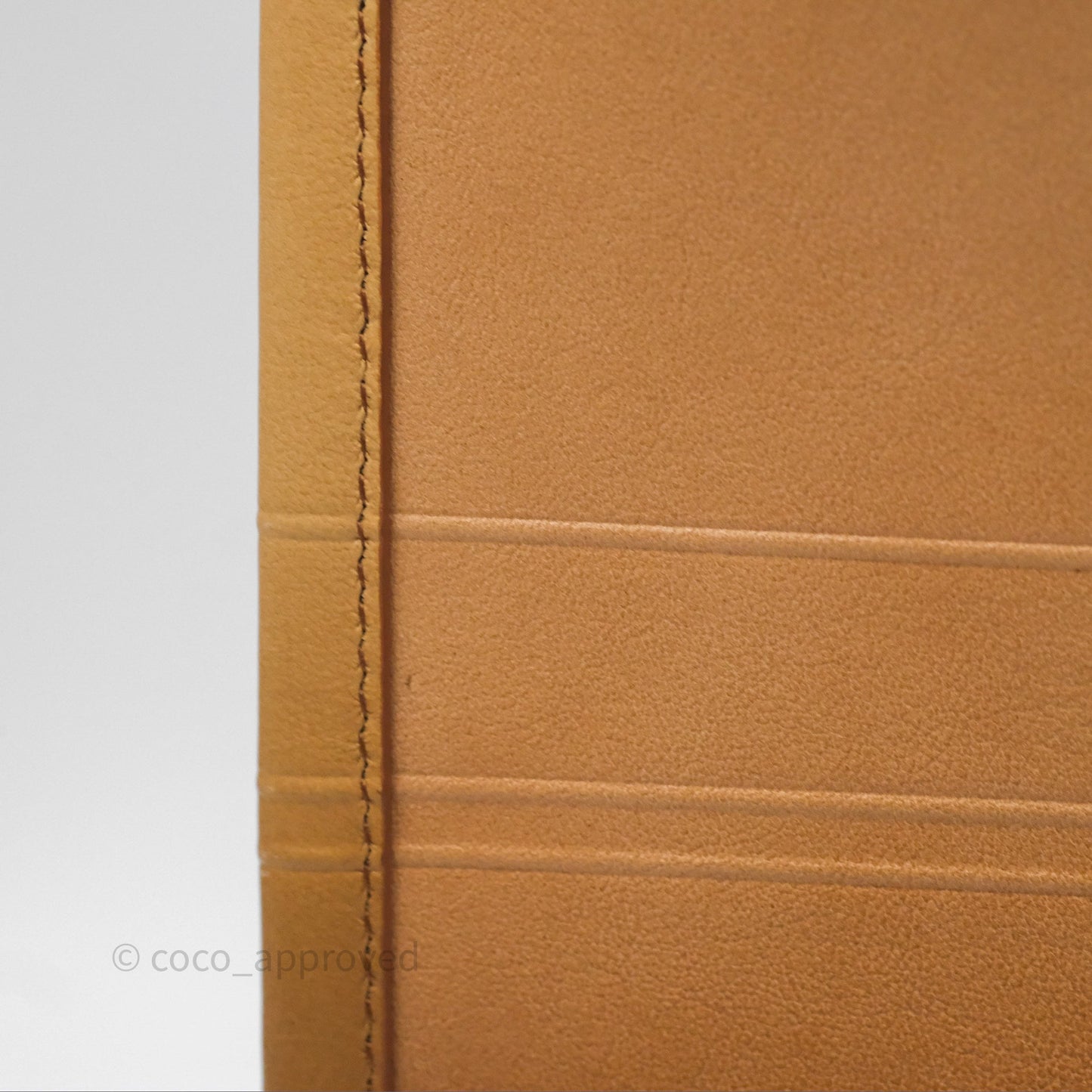 Christian Dior Medium Book Tote Gradient Brown Calfskin