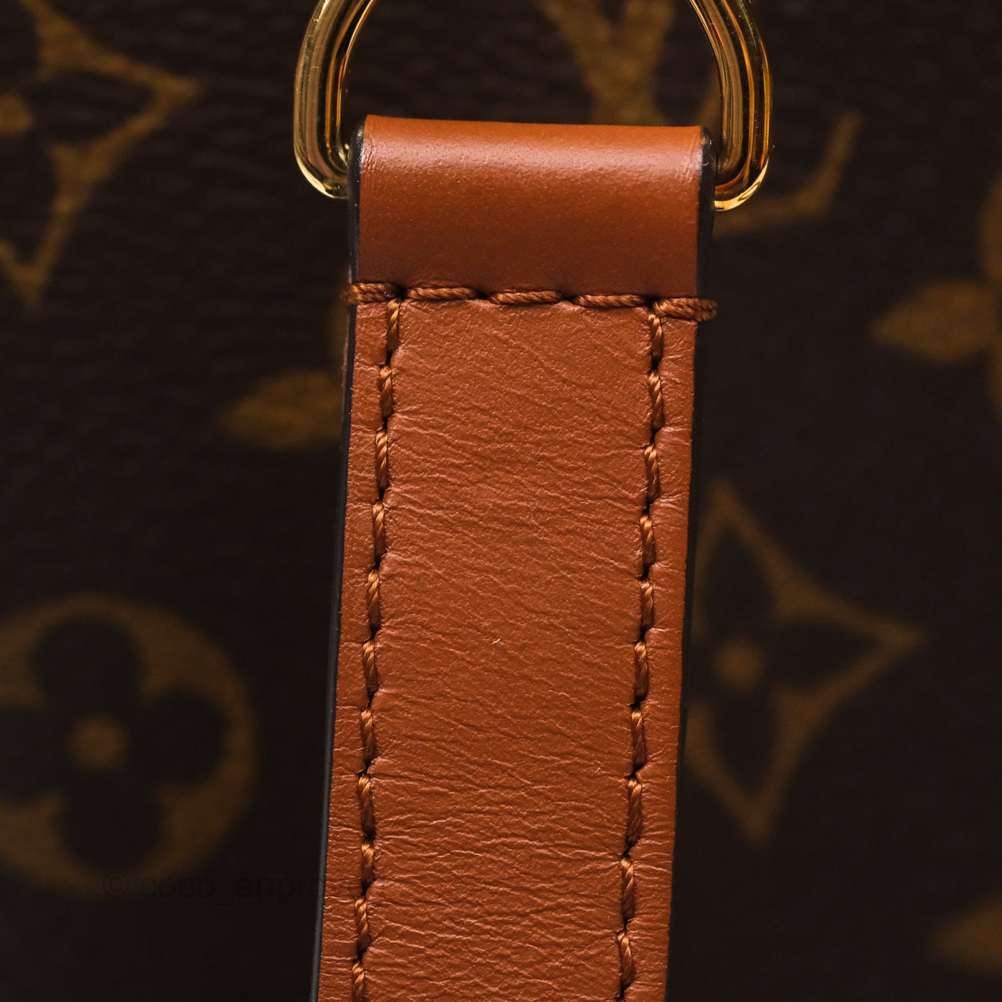 Louis Vuitton Monogram Dauphine Backpack
