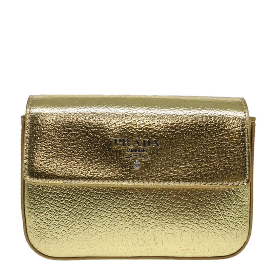 Luxury Prada Accessory Pouch Leather Silver Gold  88214
