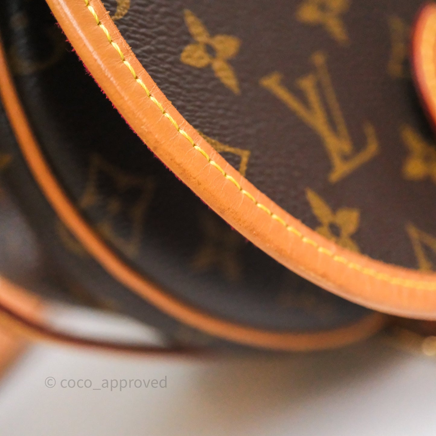 Louis Vuitton Tambourin Monogram Canvas Bag