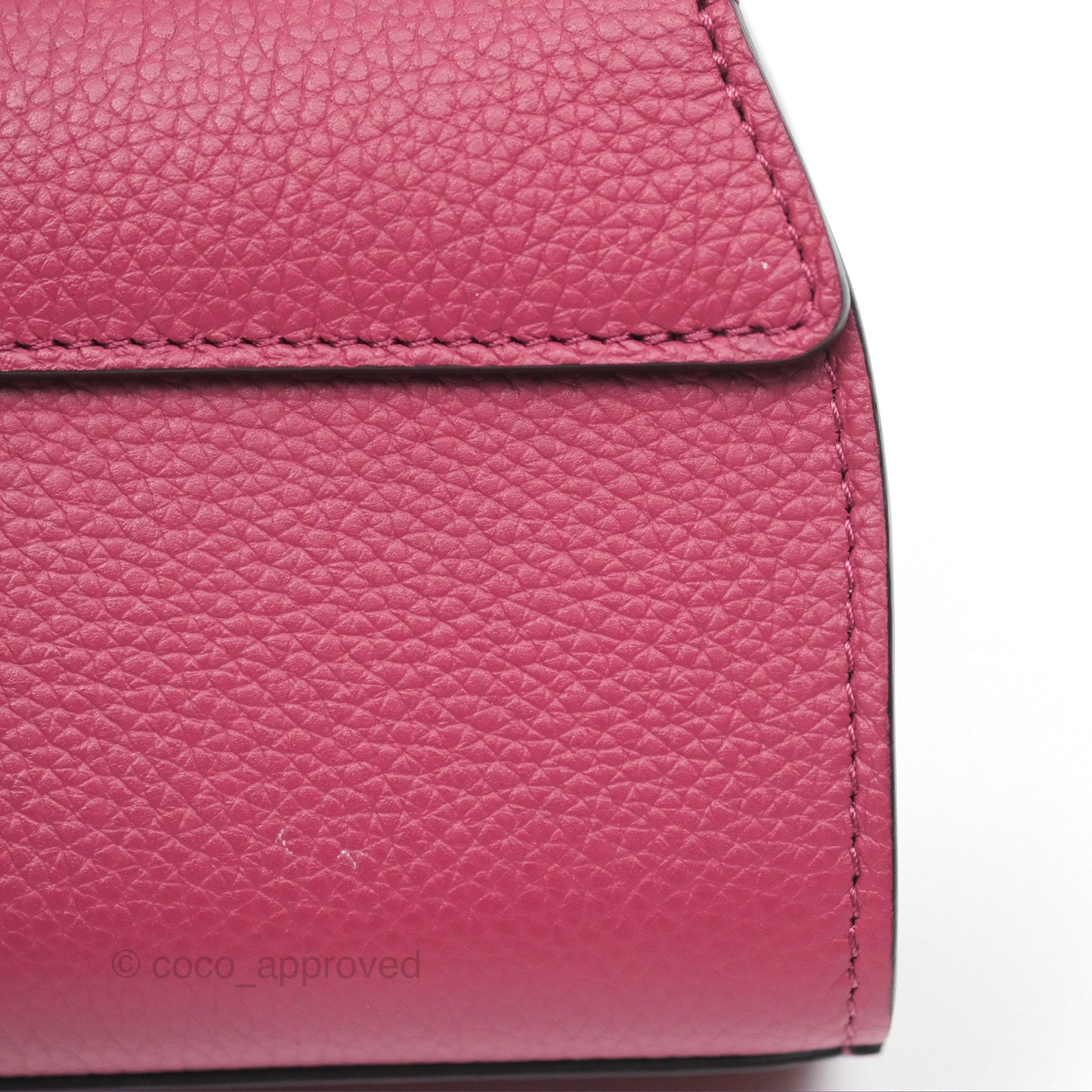 Moynat Réjane Nano Litchi Taurillon Blush Leather