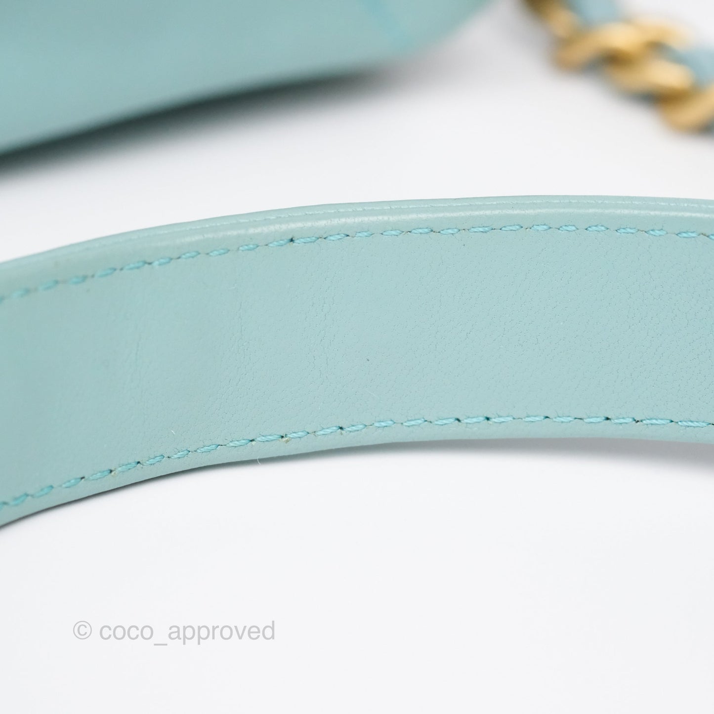 Chanel 19 Small Tiffany Blue Mixed Hardware