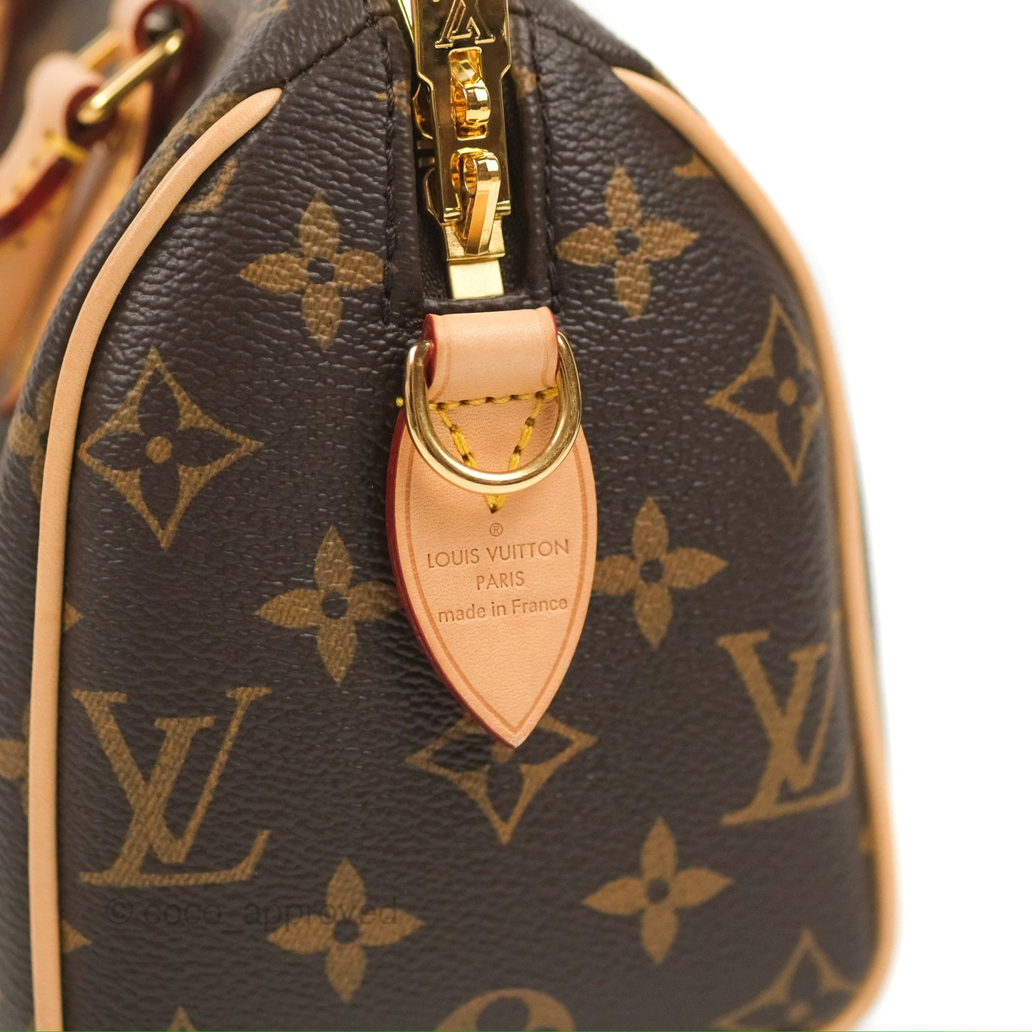 Louis Vuitton Speedy Bandoulière 20 Monogram