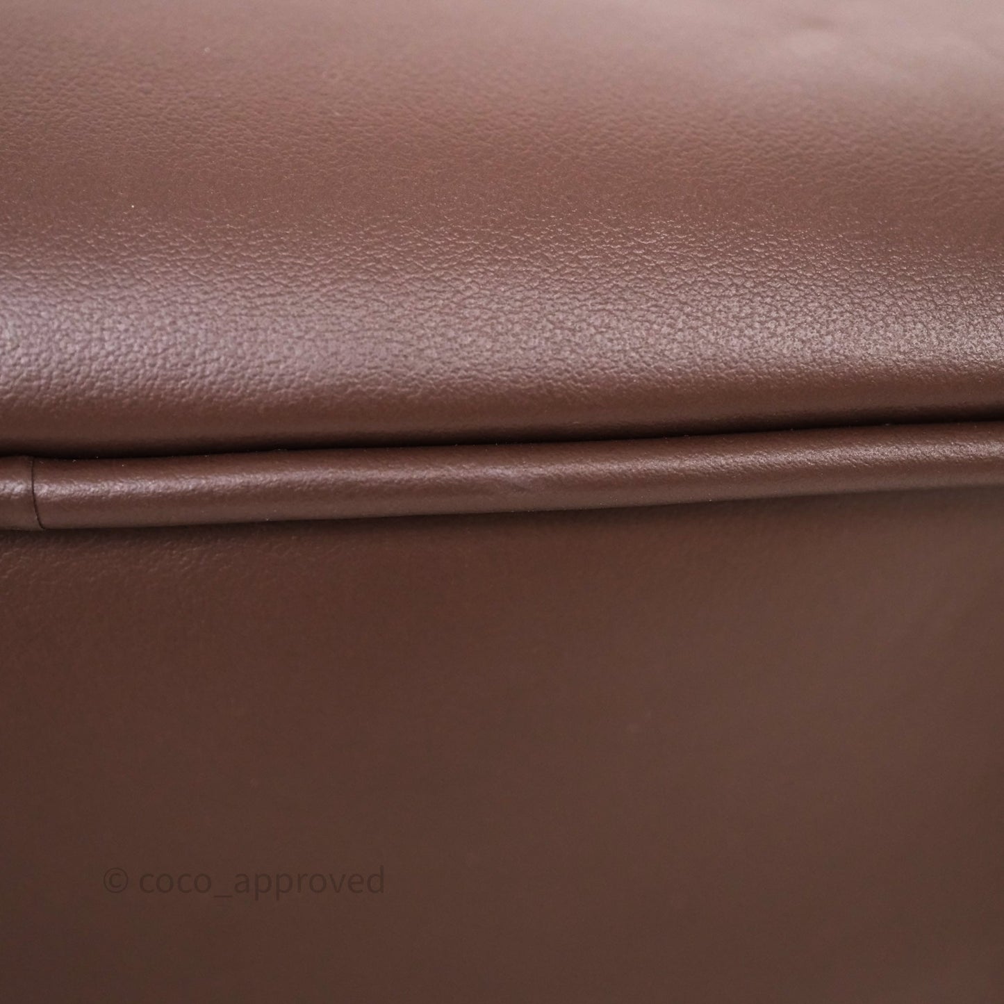 Miu Miu Arcadie Leather Bag Briarwood