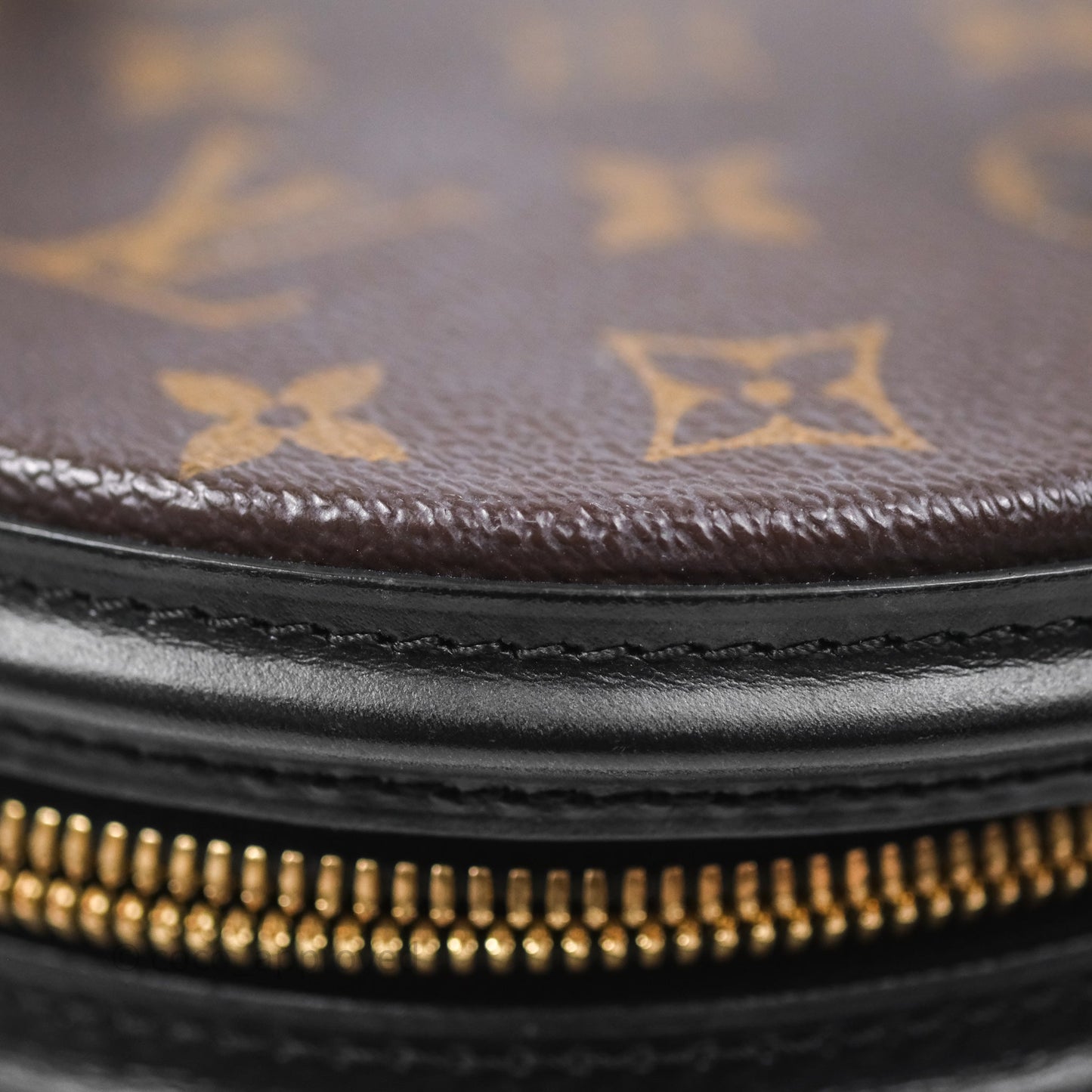 Louis Vuitton Monogram Canvas Reverse Cannes Bag