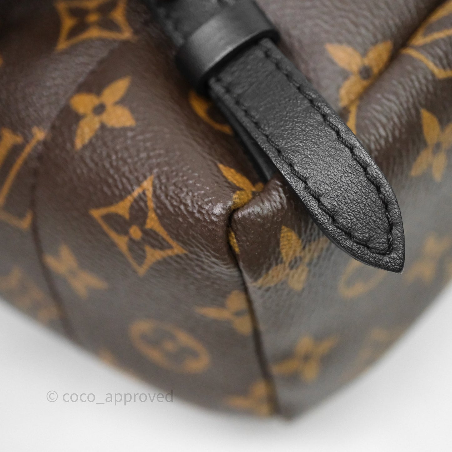Louis Vuitton Palm Springs Backpack⁣ Monogram PM