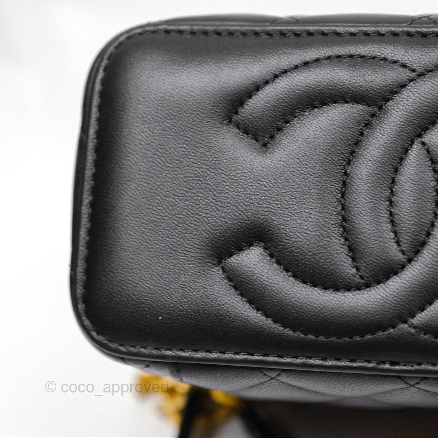 Chanel Quilted Vanity Rectangular with Camellia Adjustable Chain Black Lambskin 23S