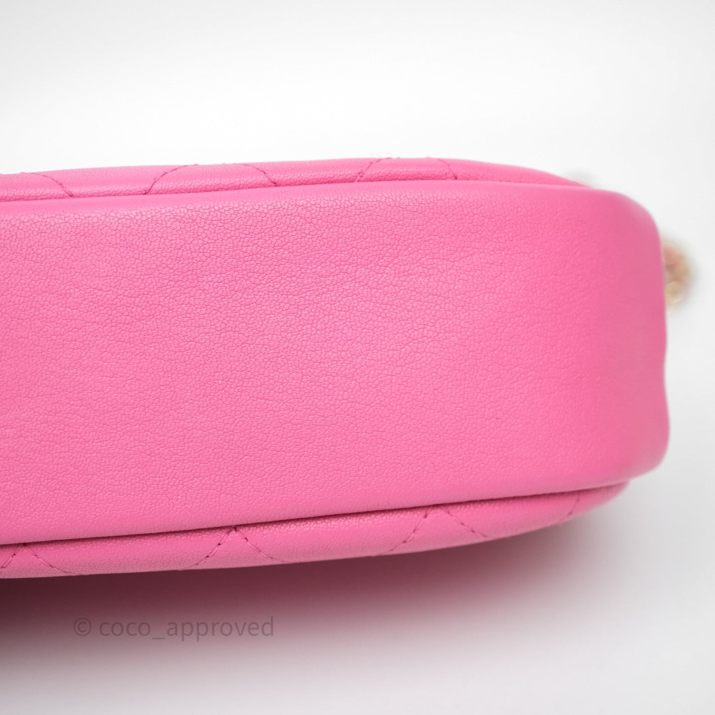 Chanel Camera Bag Pink Calfskin Aged Gold Hardware