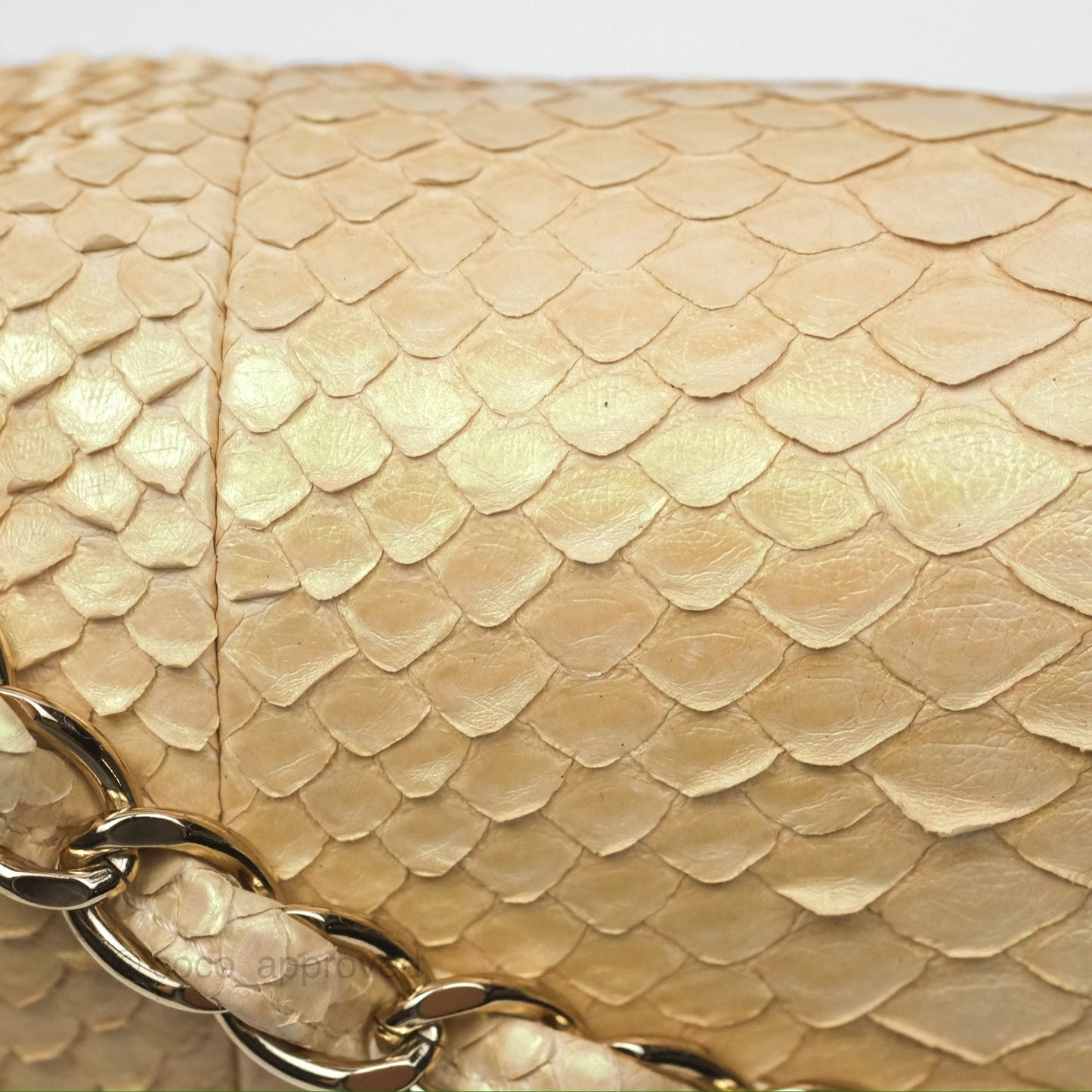 Chanel Jumbo Double Flap Iridescent Gold Python Gold Hardware⁣⁣