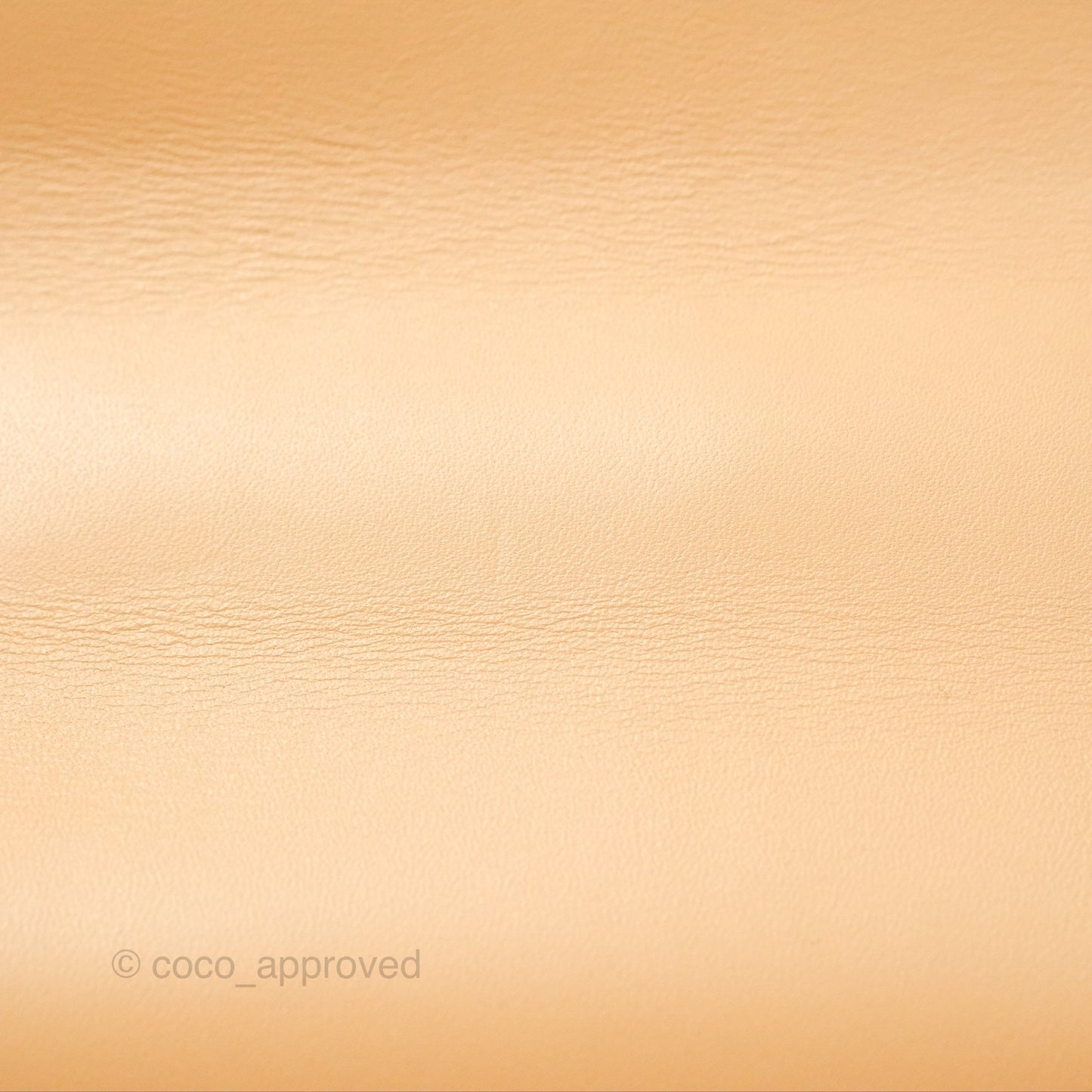 Delvaux Lingot Bag Latte Olen Calfskin