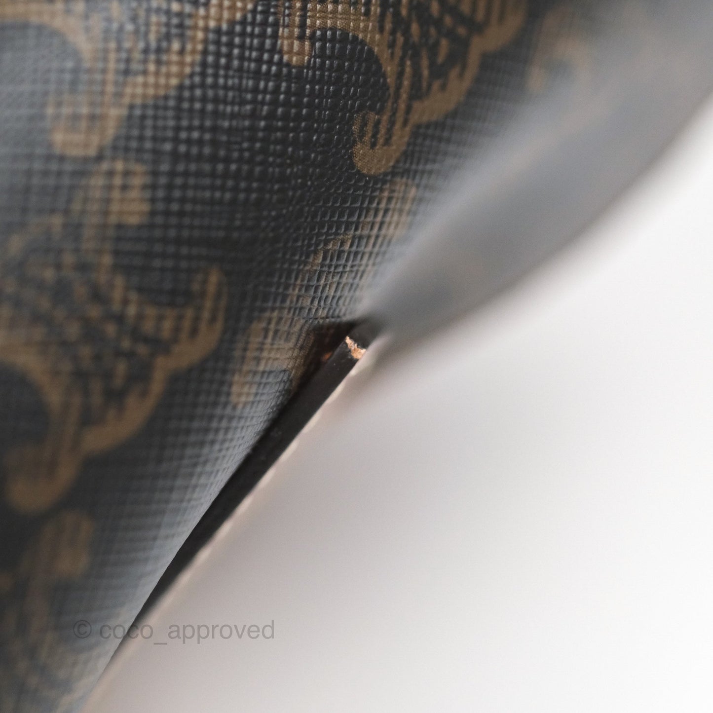 Celine Medium Folco Backpack in Triomphe Canvas Calfskin