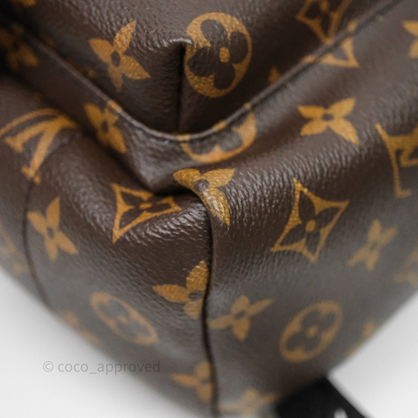 Louis Vuitton Palm Springs Backpack⁣ Monogram PM