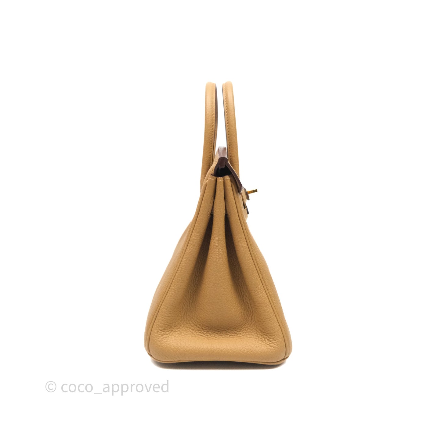 Hermès Birkin 25 Retourne Biscuit 4B Togo Gold Hardware