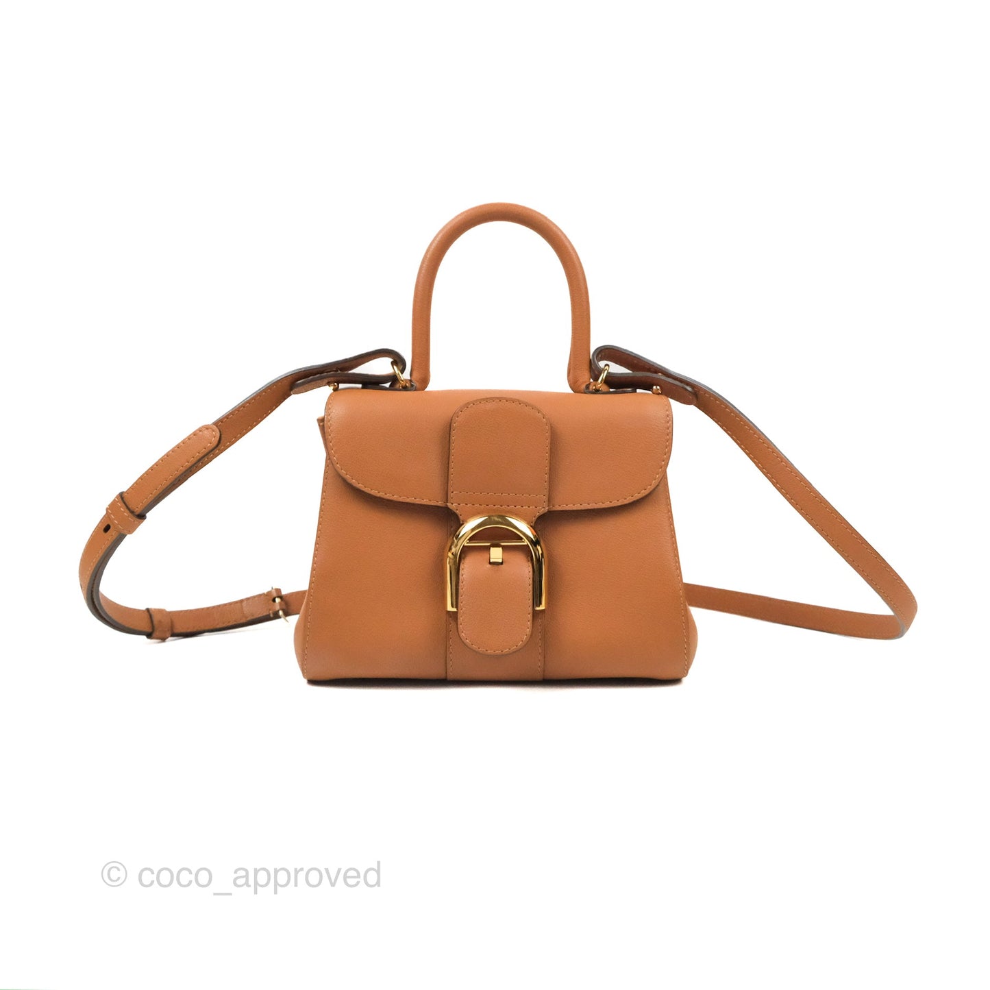 Delvaux Mini Brillant Bag Vegetal Rodeo Calf Gold Hardware