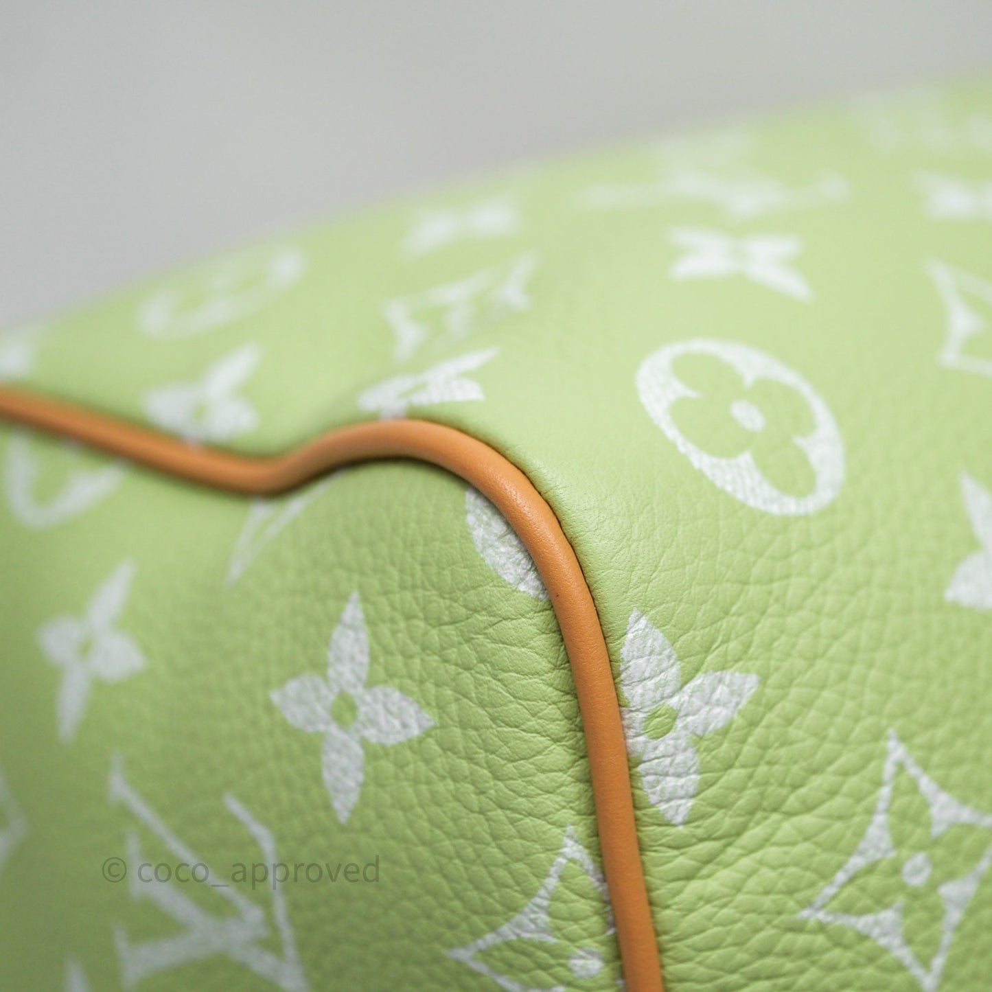 Louis Vuitton Speedy P9 Bandouliere 30 Vert Clair Bag