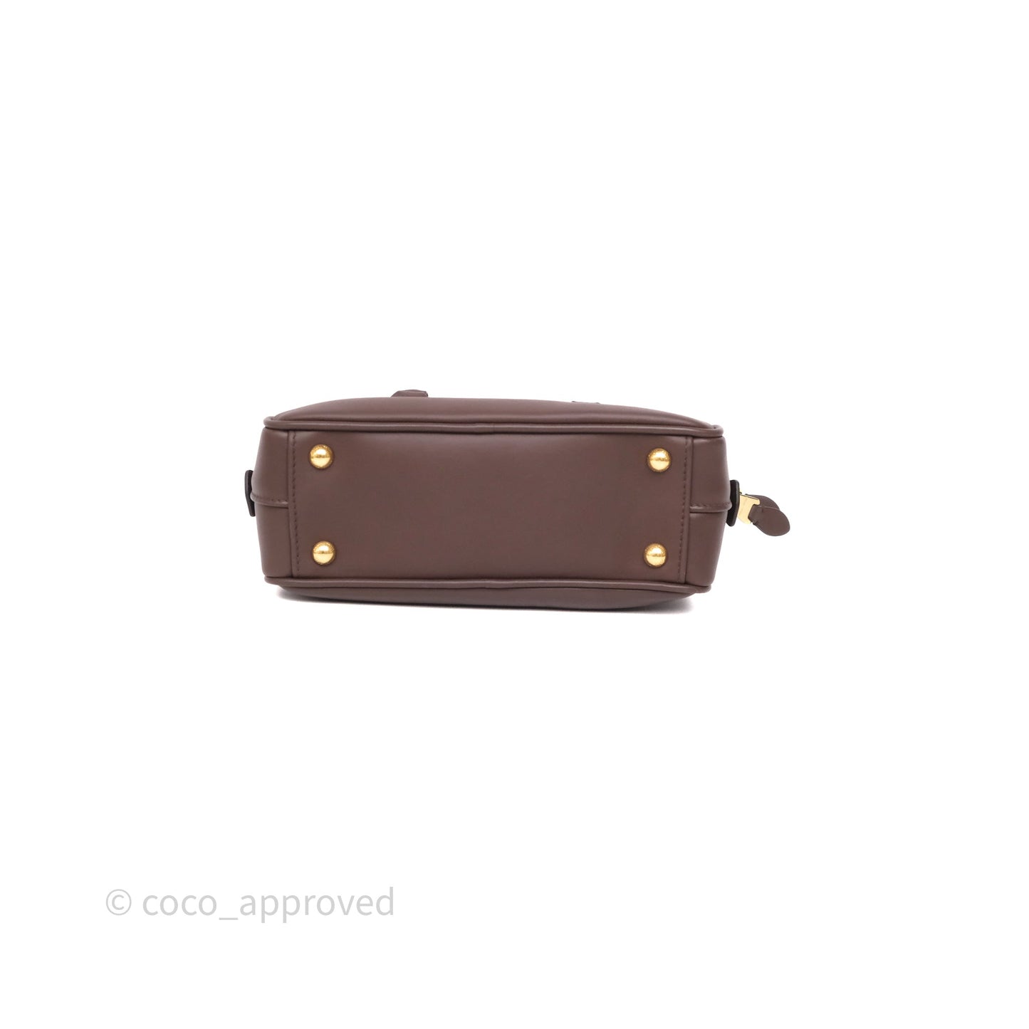 Miu Miu Arcadie Leather Bag Briarwood