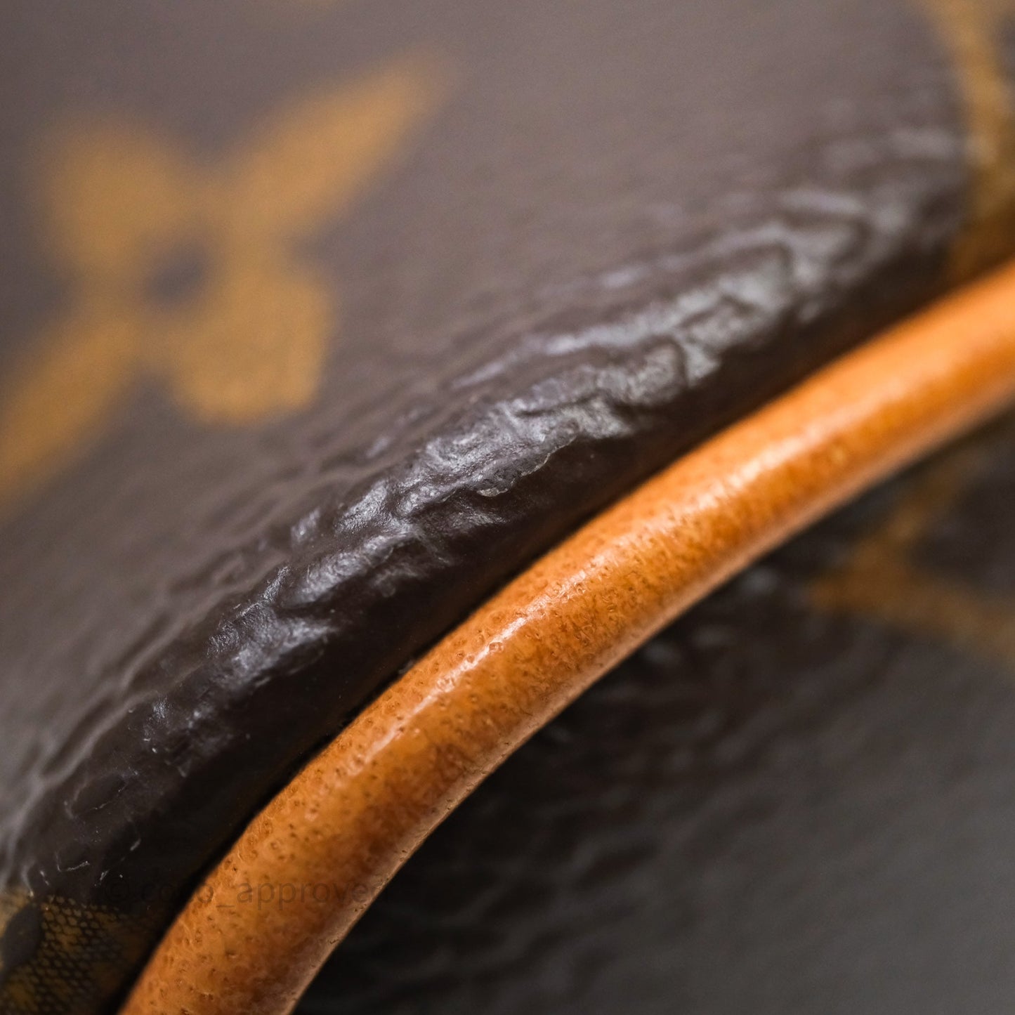 Louis Vuitton Nice Nano Monogram Canvas