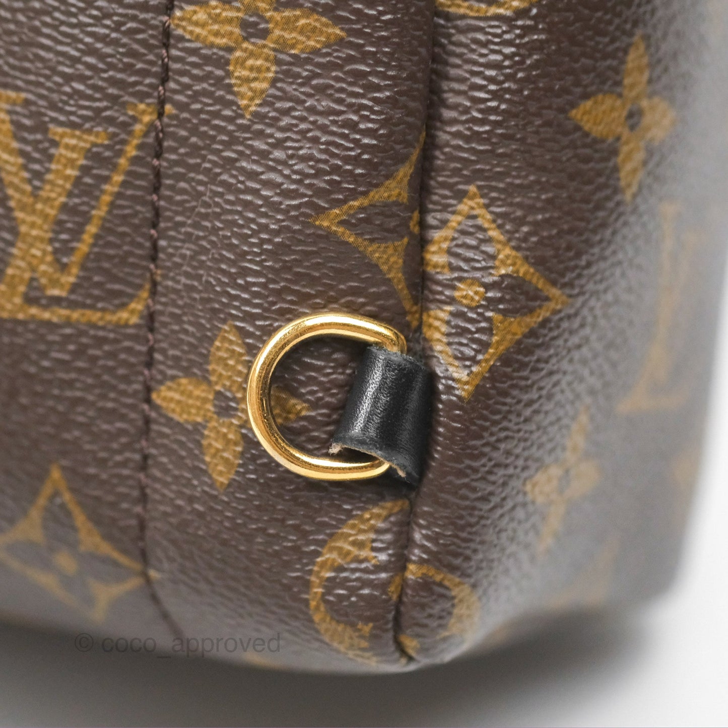 Louis Vuitton Mini Palm Springs Backpack⁣ Monogram