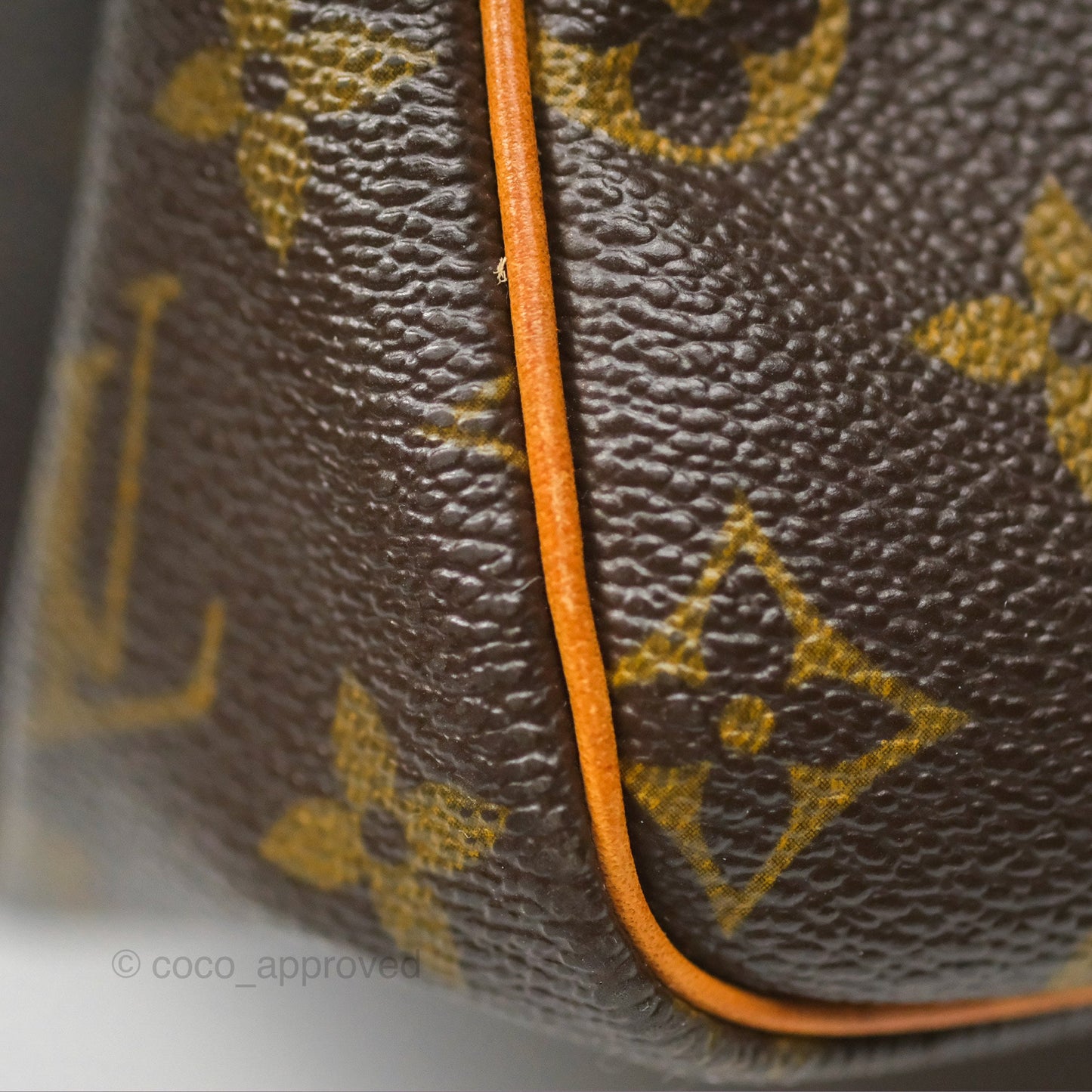 Louis Vuitton Speedy 30 Monogram Canvas