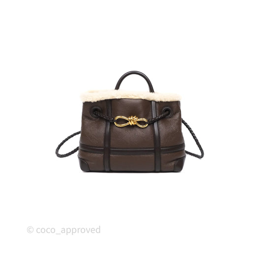 Bottega Veneta Shearling Aviator Small Andiamo Bag Brown