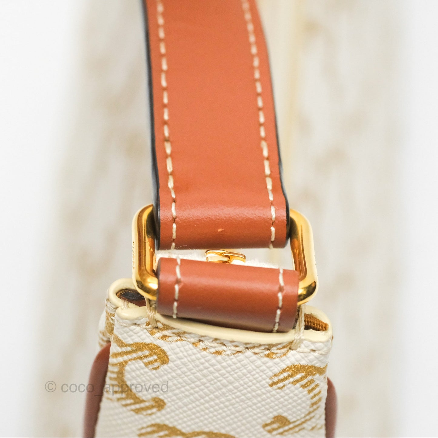 Celine Ava Bag In Triomphe Canvas Calfskin White