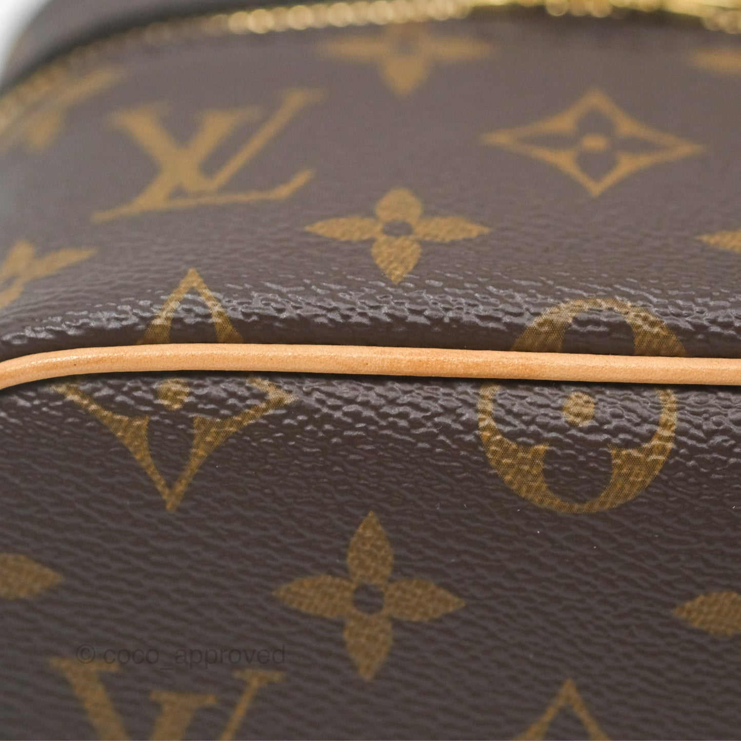 Louis Vuitton Nano Nice Monogram