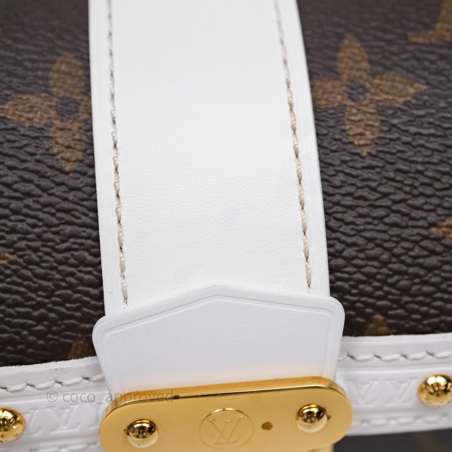 Louis Vuitton Monogram Papillon Trunk Bag