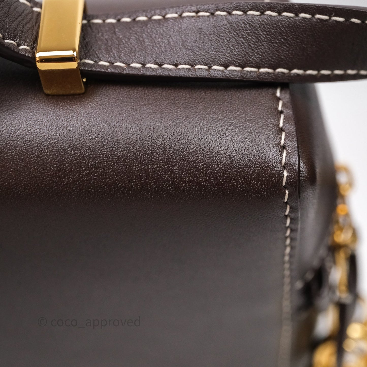 Loro Piana Extra Bag L27 Dark Choco Licorice Smooth Calfskin