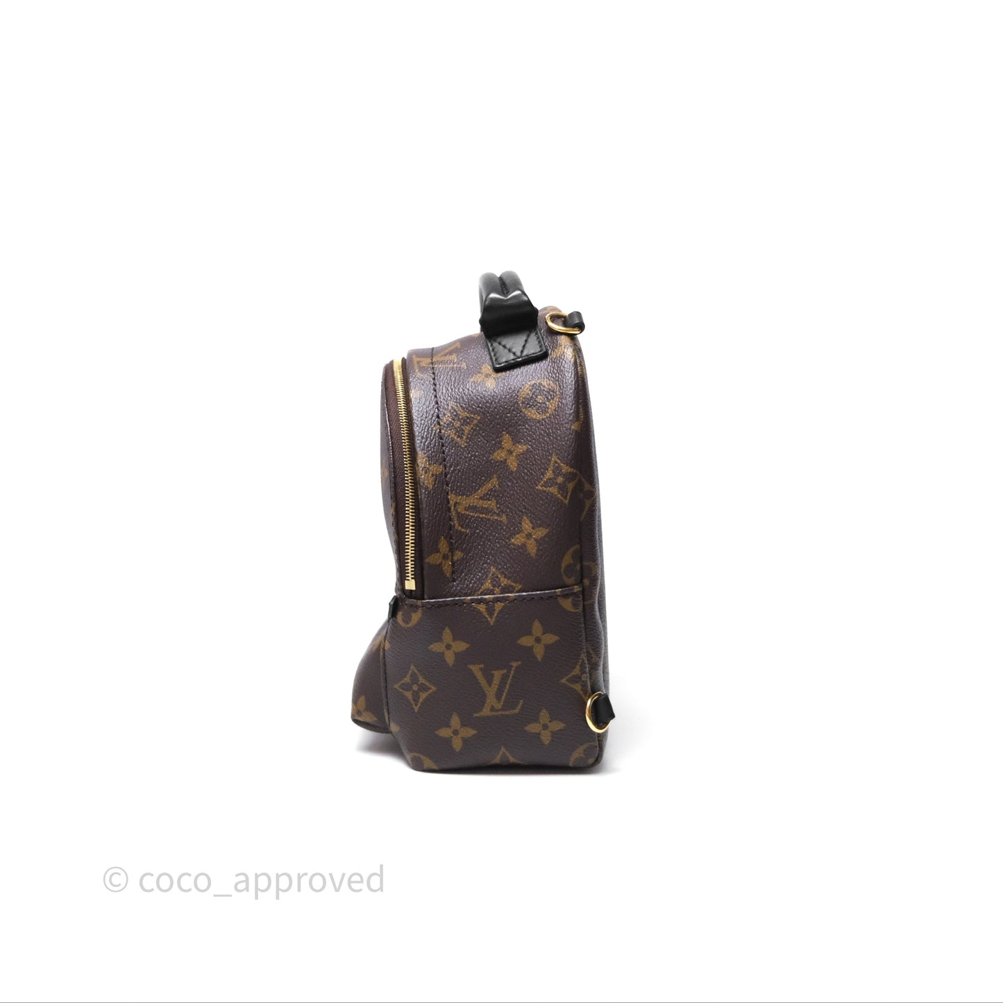 Louis Vuitton Mini Palm Springs Backpack⁣ Monogram