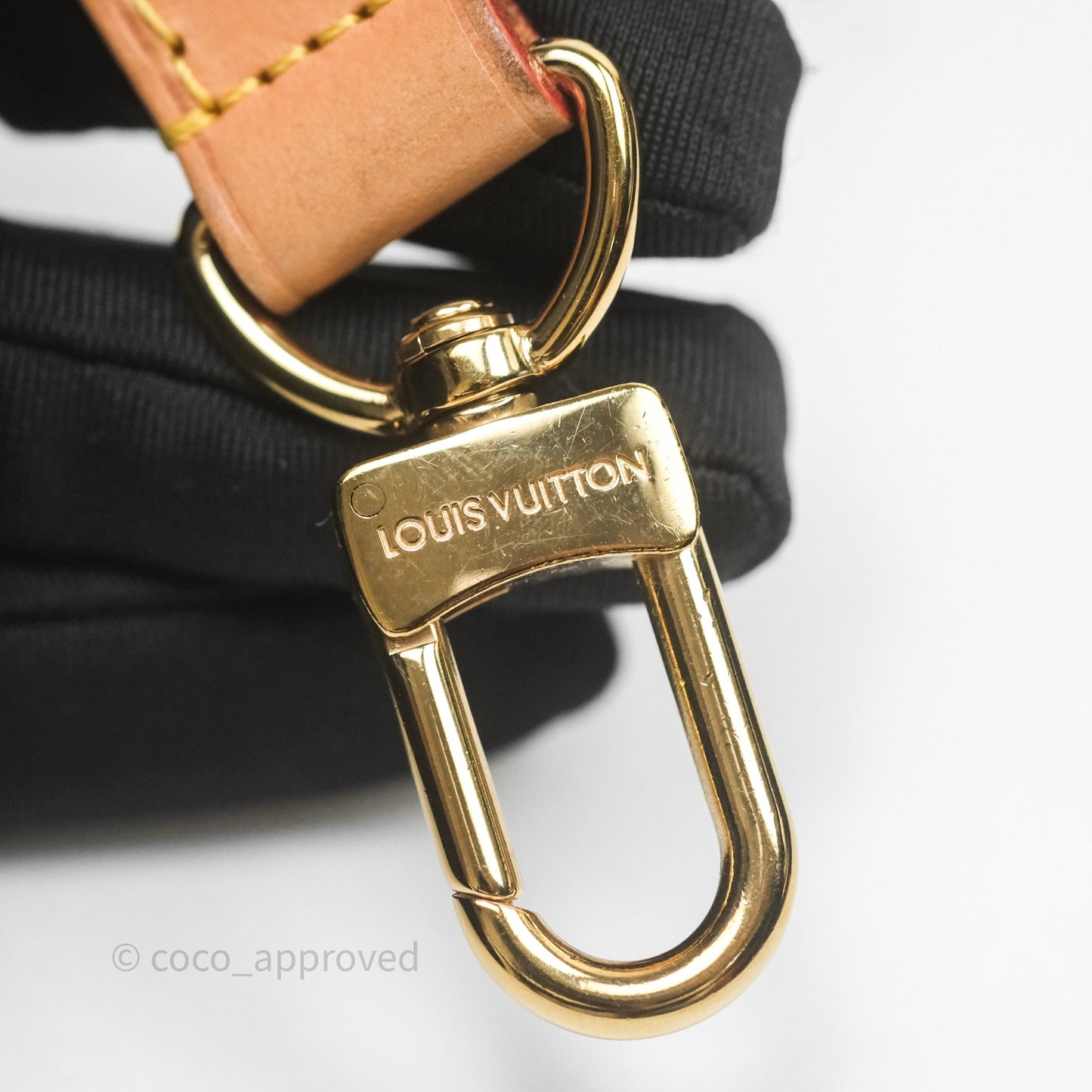 Louis Vuitton Loop Monogram Canvas
