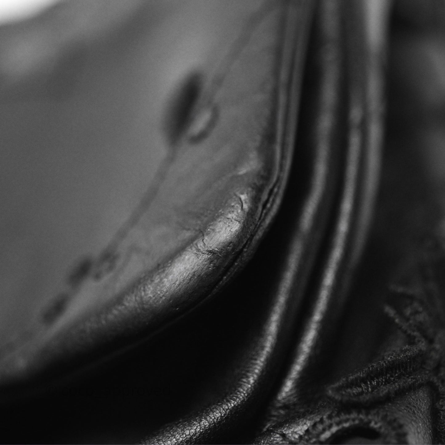 Chanel Embroidered Butterfly Flap Black Lambskin Ruthenium Hardware