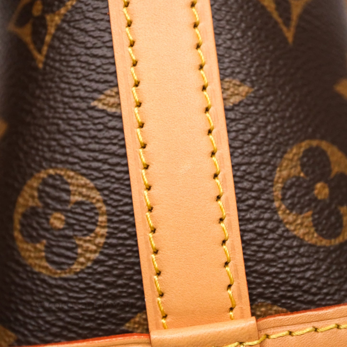 Louis Vuitton Nano Noe Monogram