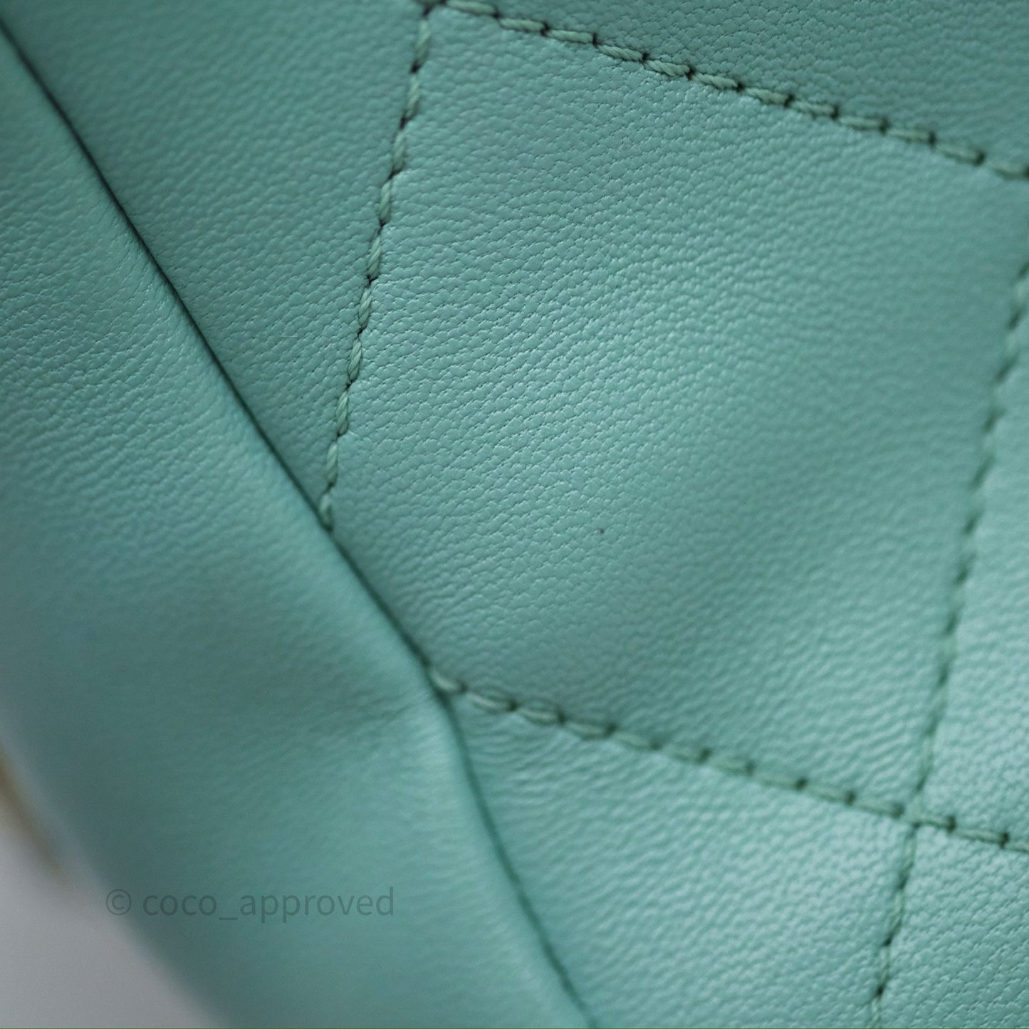 Chanel Quilted Small Circular Handle Bag Mint Green Aged Gold Hardware