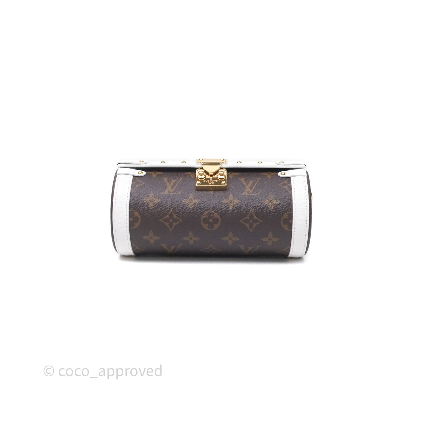 Louis Vuitton Monogram Papillon Trunk Bag