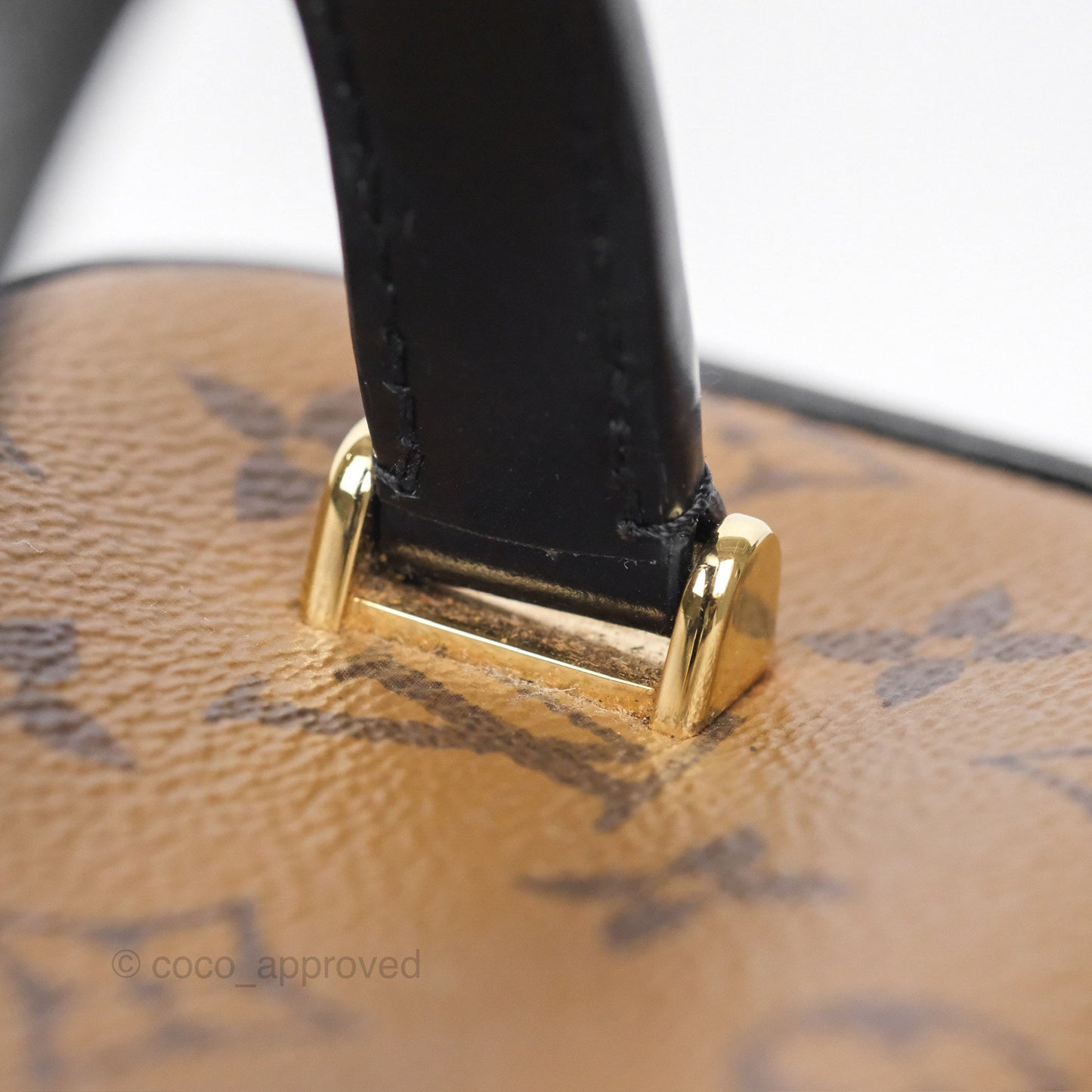 Louis Vuitton Reverse Monogram Vanity PM