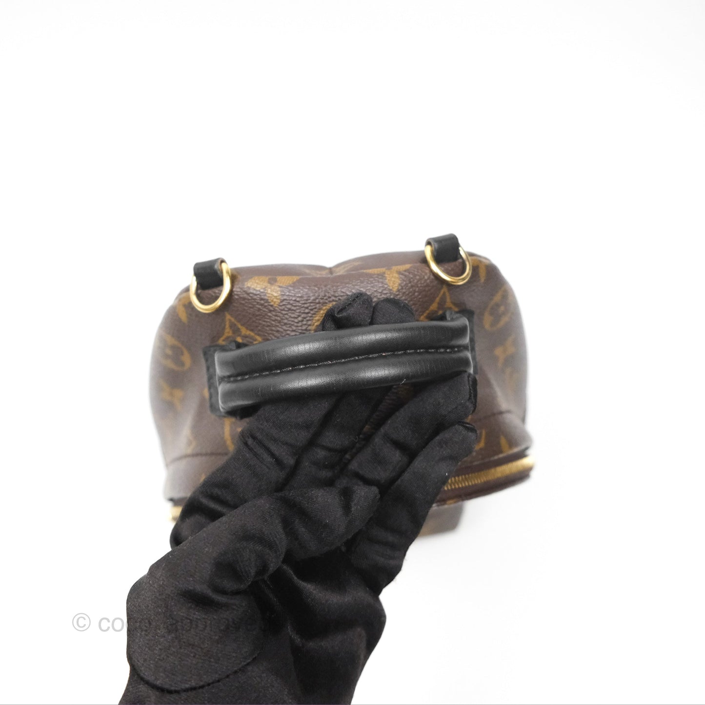 Louis Vuitton Mini Palm Springs Backpack⁣ Monogram