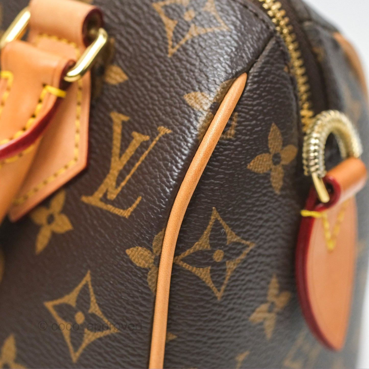 Louis Vuitton Speedy Bandoulière 20 Monogram