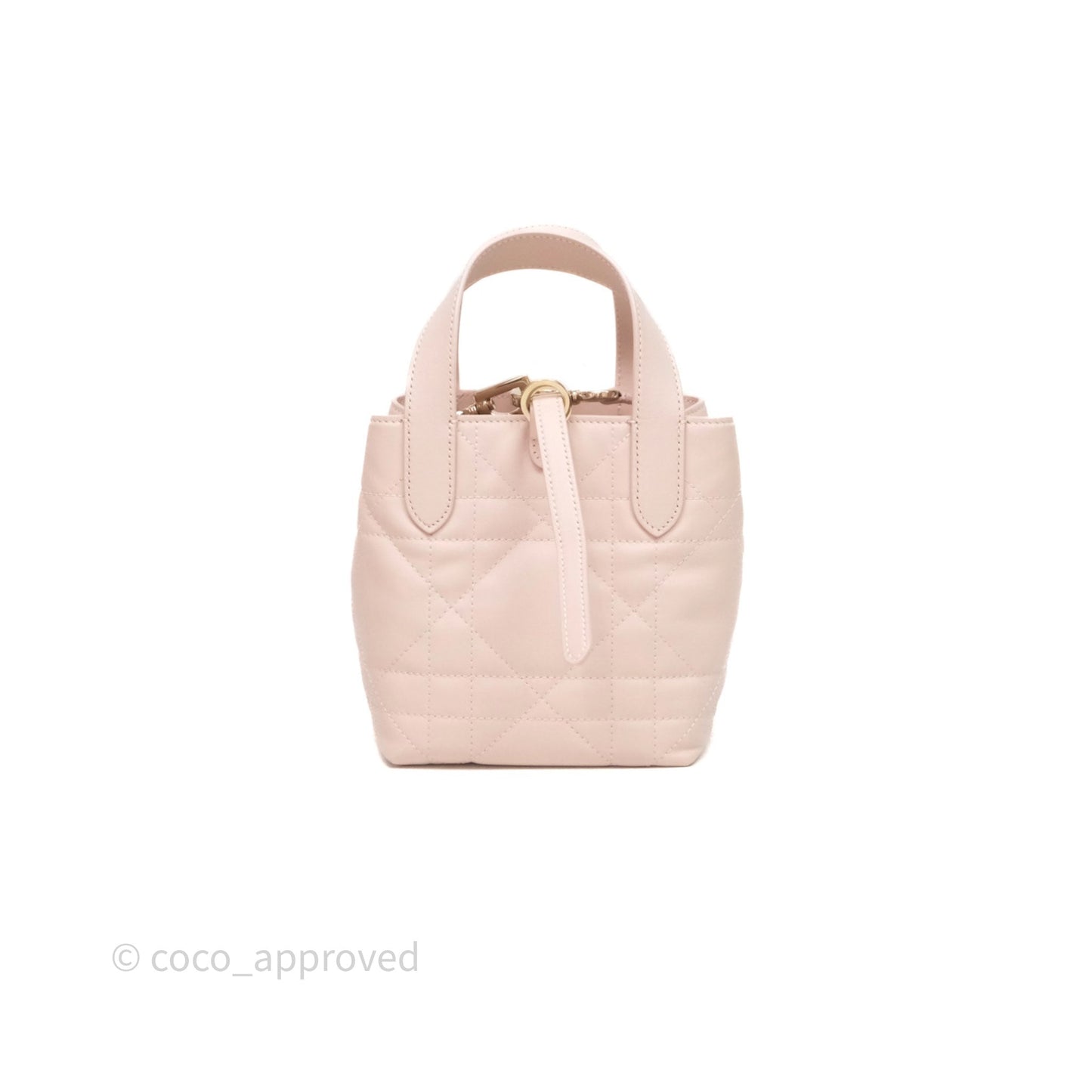 Christian Dior Toujours Vertical Nano Tote Bag Pink