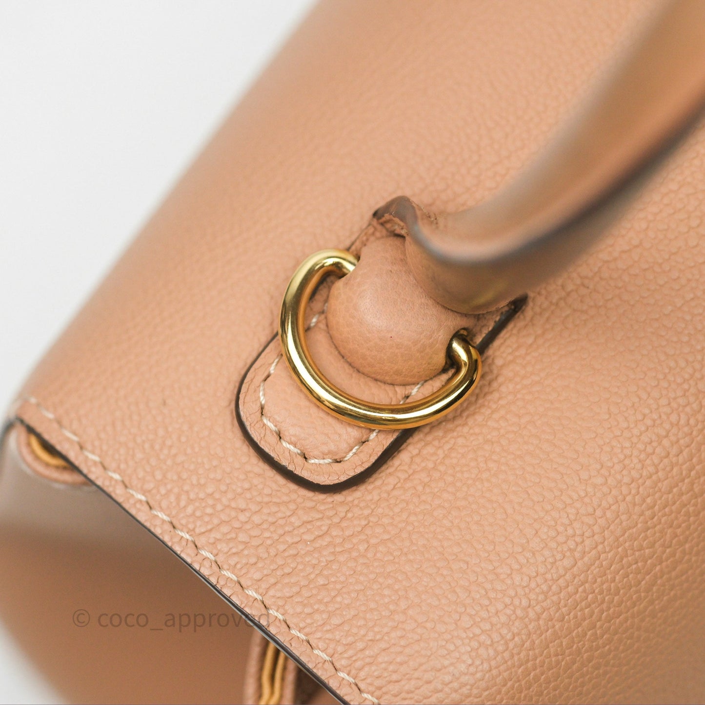 Delvaux Mini Brillant Bag Vison Grained Calfskin Gold Hardware with Twilly