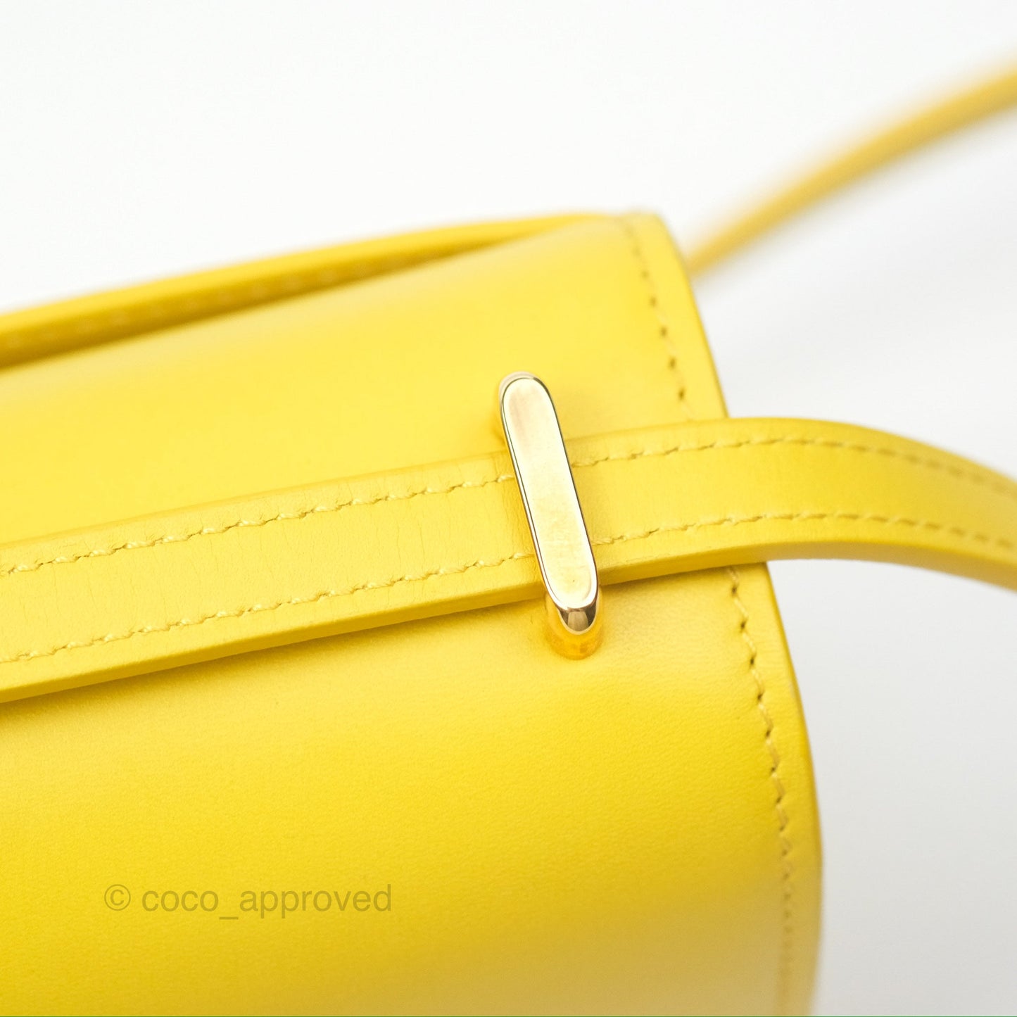 Loewe Small Goya Bag Yellow Silk Calfskin