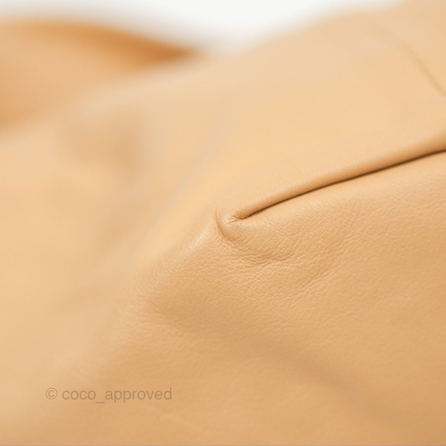Bottega Veneta Teen Double Knot Hobo Almond Calfskin