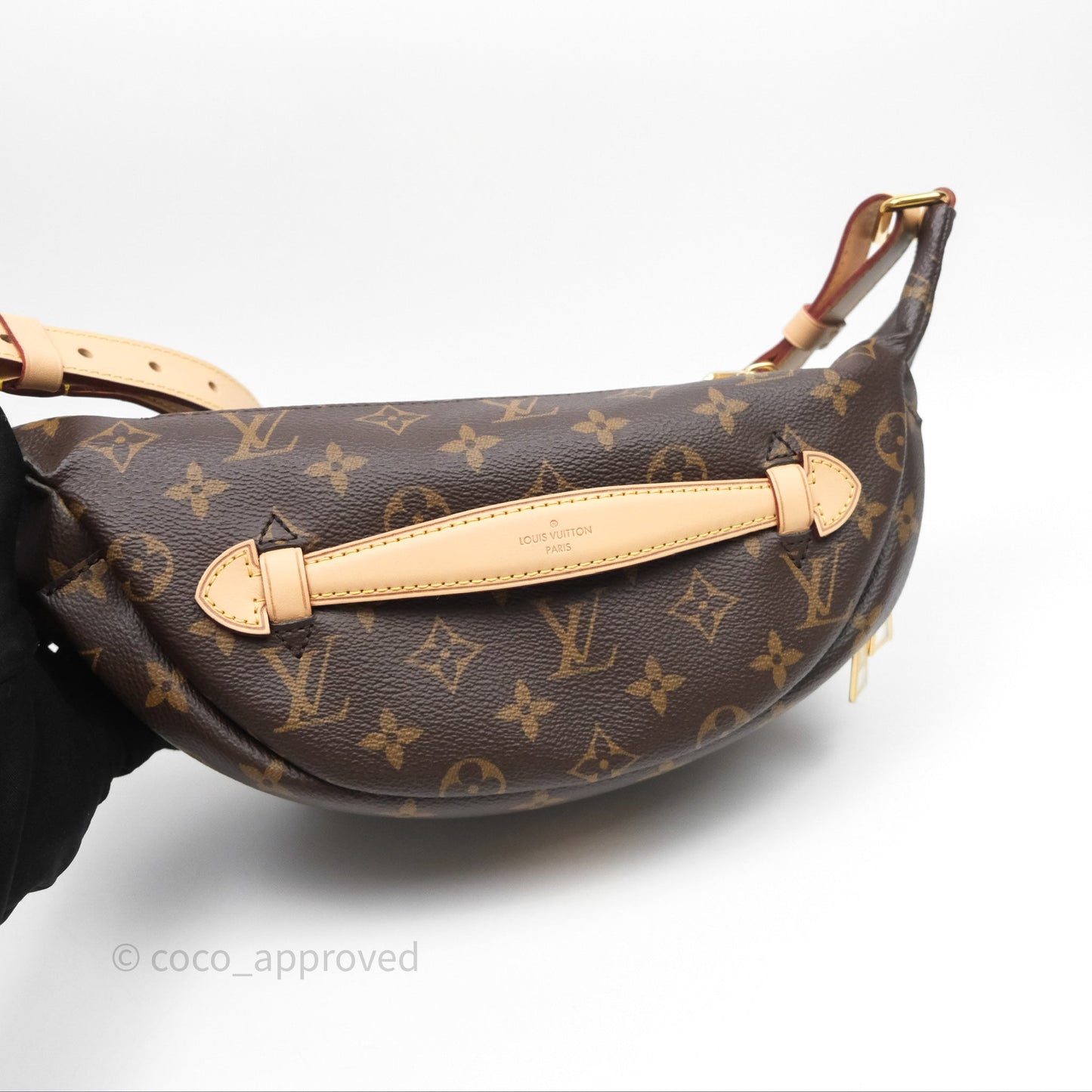 Louis Vuitton Bum Bag Monogram Canvas
